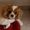 Photo of Bella Y.