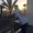 Photo of Fadi S.