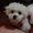 Photo of Susann S.