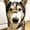 Photo of Erica M.