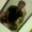 Photo of Cristian M.