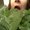 Photo of Kayla B.