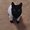 Photo of Ameina Q.