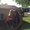 Photo of Paige G.