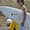 Photo of Jake P.