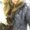 Photo of Bracha B.
