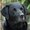 Photo of Qype User (Kendri…)