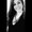 Photo of Samantha F.