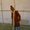Photo of Chaitanya P.