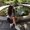 Photo of Stephanie H.