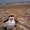 Photo of Eman B.