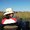 Photo of Disha M.