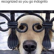 google avatar