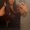 Photo of Brianna A.