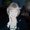 Photo of Donna H.