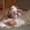 Photo of Joi Y.