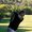 Photo of Qype User (helgen…)