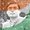 Photo of Saurabh L.