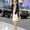 Photo of Cherisse P.