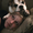 Photo of Kelly E.