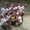 Photo of C D Femenino Danubio D.