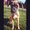 Photo of Cassie N.