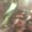 Photo of Rodolfo T.