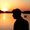 Photo of Hardik M.