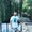 Photo of Damir D.