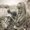 Photo of Becky S.