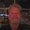 Photo of Greg S.