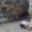 Photo of choota J.