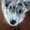 Photo of Harley F.