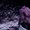 Photo of Cityvox User (victor…)