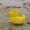 Photo of Qype User (stefan…)