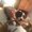 Photo of Viviana M.