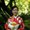 Photo of Tamami N.