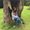 Photo of Maelynn F.