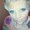 Photo of Aimee V.