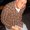 Photo of Justin L.