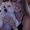 Photo of Jena M.