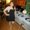 Photo of Liz R.