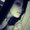 Photo of Alexa D.