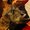 Photo of Snadie Mae M.