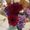 Photo of Brianna ..