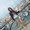 Photo of manuela h.