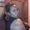 Photo of Sharrelle H.