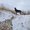 Photo of Matt K.