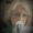 Photo of Linda E.
