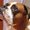 Photo of Allan B.